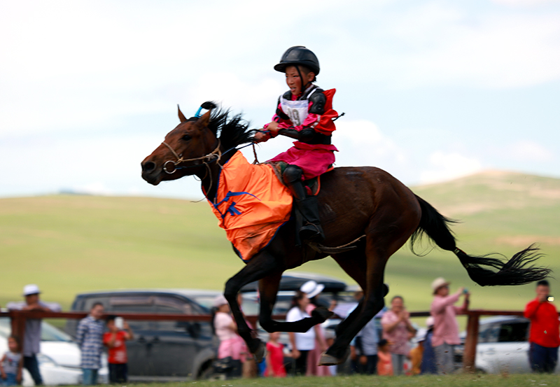 Horse race in Mongolian Naadam festival